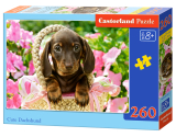 Puzzle Castorland Cute Dachshund 260 dílků