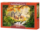 Puzzle Castorland Royal Family 1000 dílků