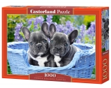 Puzzle Castorland French Bulldog Puppies 1000 dílků