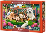 Puzzle Castorland Pets in the Park 1000 dílků