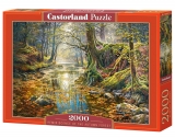 Puzzle Castorland Reminiscence of the Autumn Forest 2000 dílků