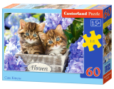 Puzzle Castorland Cute Kittens 60 dílků