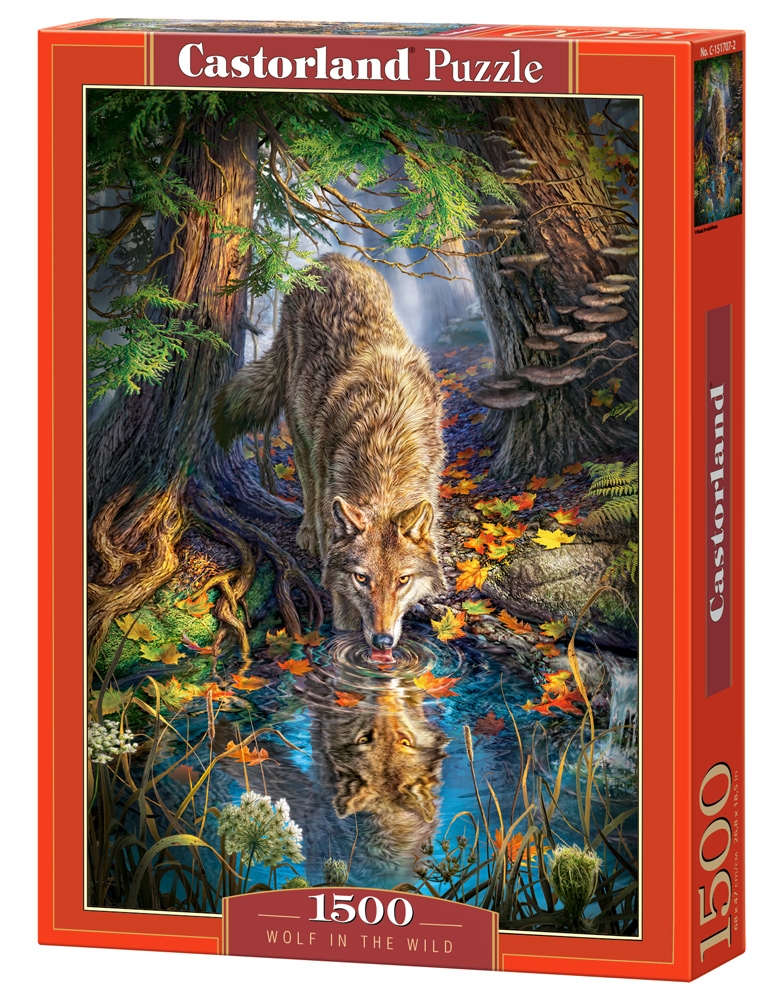 Puzzle Castorland Wolf in the Wild 1500 dílků