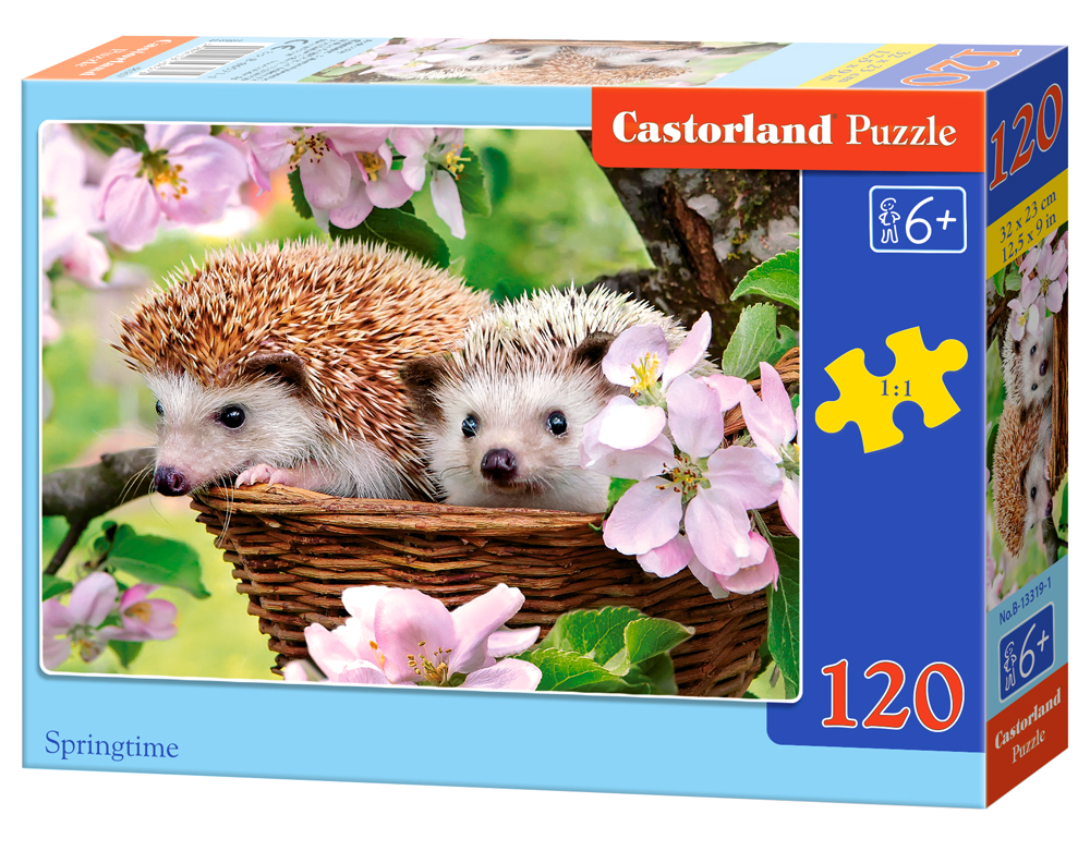 Puzzle Castorland Springtime 120 dílků