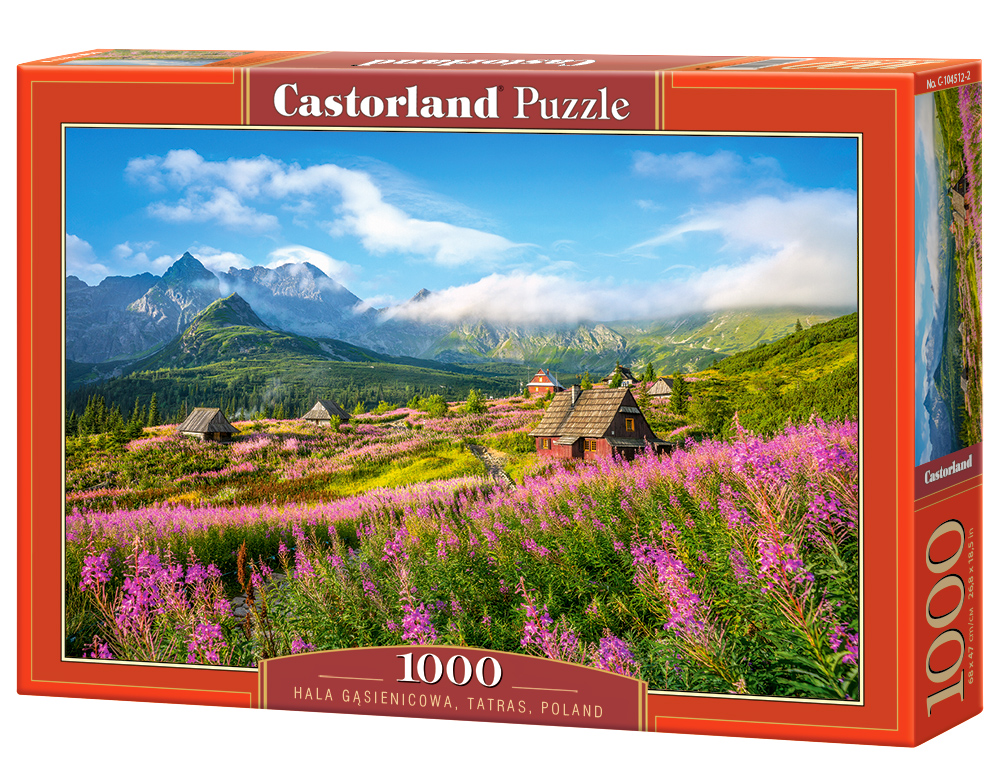 Puzzle Castorland Hala Gąsienicowa, Tatras, Poland 1000 dílků