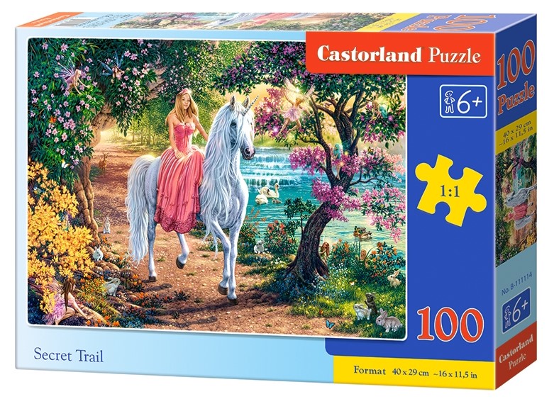 Puzzle Castorland Secret Trail 100 dílků