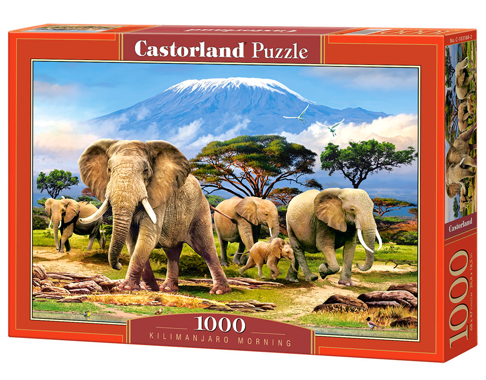 Puzzle Castorland Kilimanjaro Morning 1000 dílků
