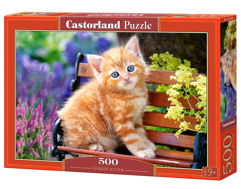 Puzzle Castorland Ginger Kitten  500 dílků