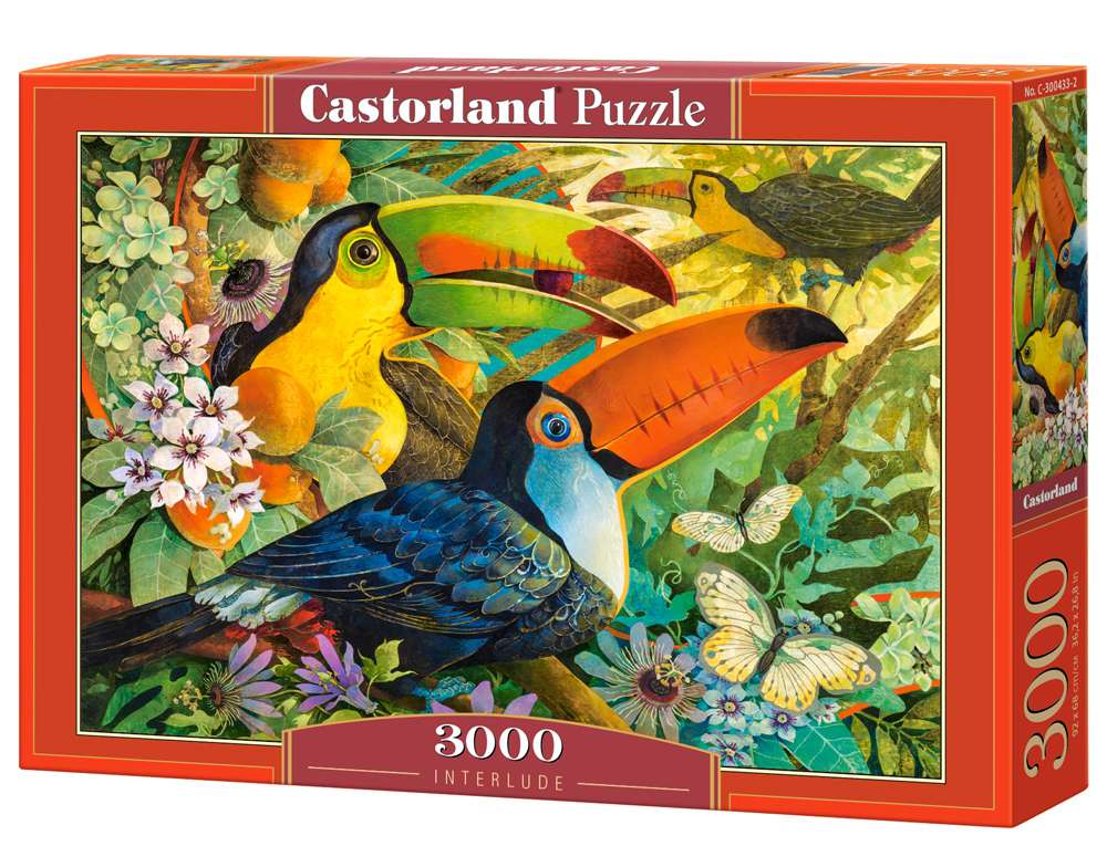 Puzzle Castorland Interlude 3000 dílků