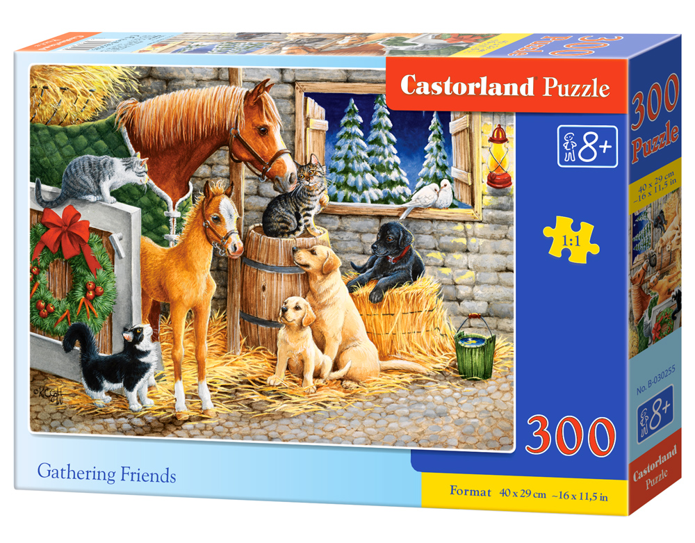 Puzzle Castorland Gathering Friends  300 dílků