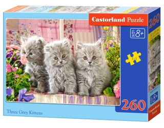 Puzzle Castorland Three Grey Kittens 260 dílků