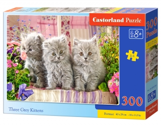 Puzzle Castorland Three Grey Kittens 300 dílků