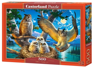 Puzzle Castorland Owl Family 500 dílků
