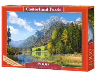 Puzzle 2000 | puzzle, Castorland