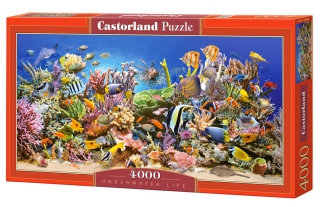 Puzzle Castorland Underwater life 4000 dílků