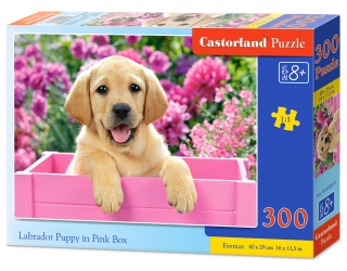 Puzzle Castorland Labrador Puppy in Pink Box  300 dílků